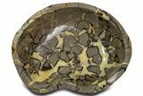 Huge, Polished Septarian Bowl - Madagascar #339303-1